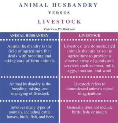 how to become a livestock agent and the unexpected connection between animal husbandry and creative writing